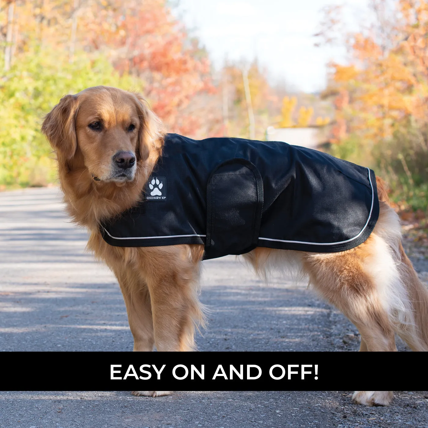 Harbour 2.0 Rain Coat