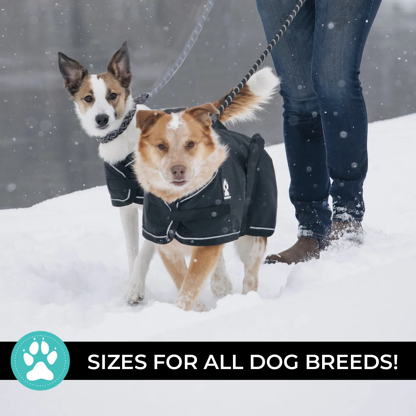 Harbour 2.0 Rain Coat