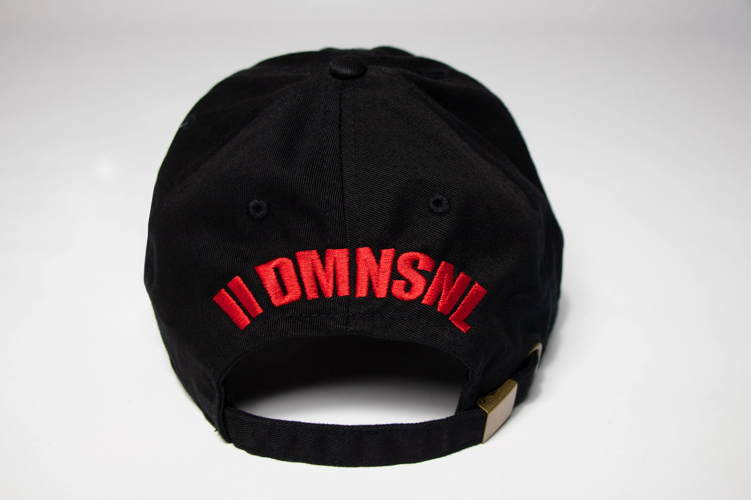 "Money Bag" Dad Hat