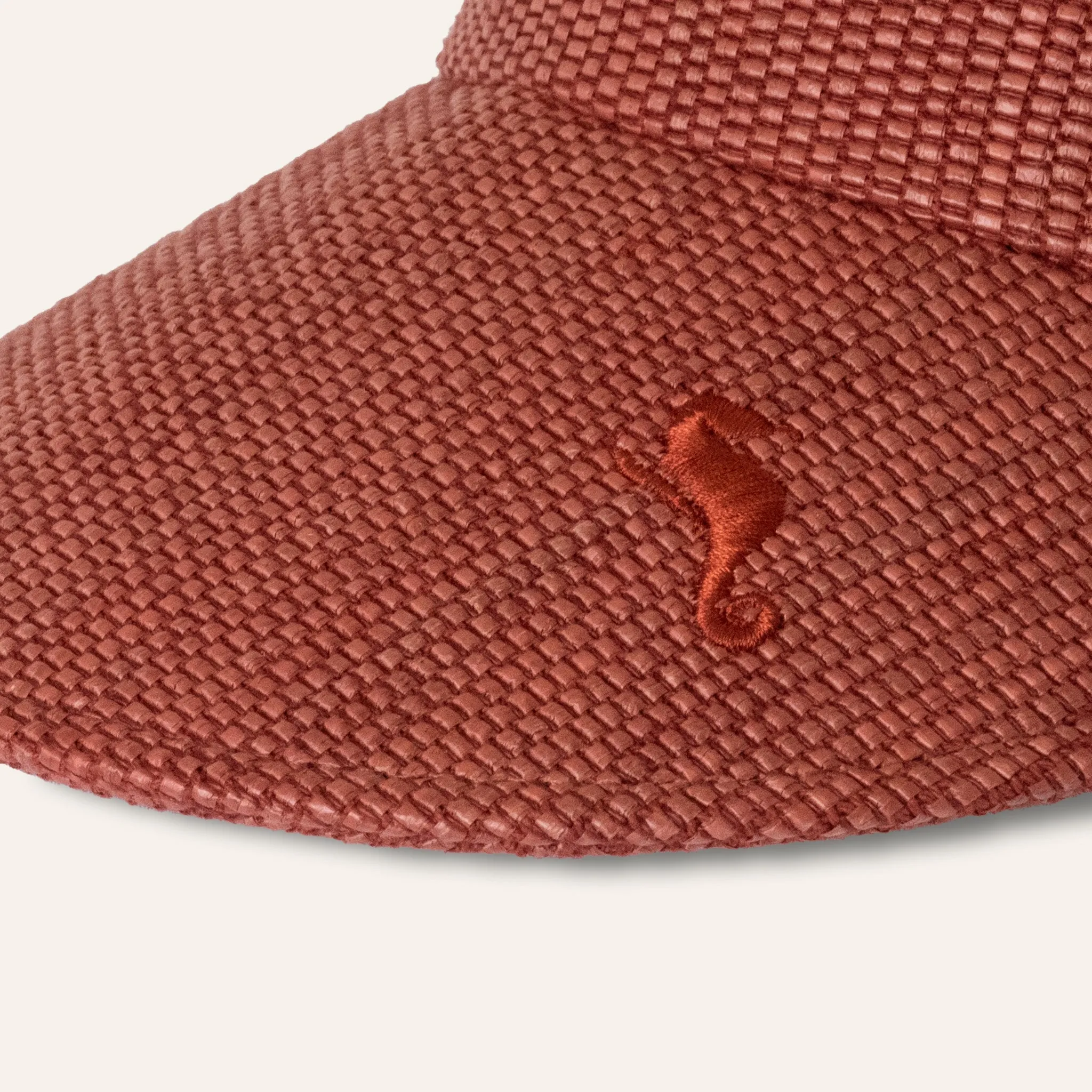 Short Visor